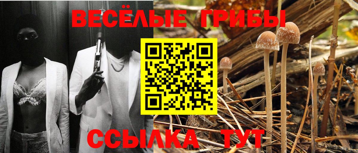 Псилоцибиновые грибы Psilocybe  Вход с VPN  наркошоп  Жуковский 