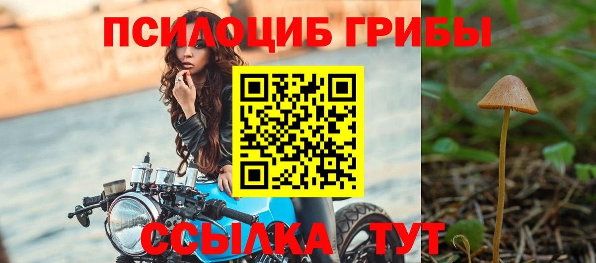 Галлюциногенные грибы прущие грибы Жуковский